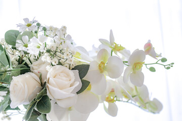 Fragrant and beautiful flowers on a white background