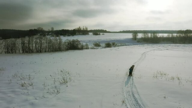 Aerial shooting of a dog sled race on a snowy terrain. Huskies and malamutes . Movement by dogs in hard-to-reach places.