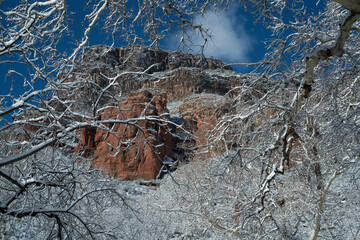 Snowbound Sedona Arizona USA