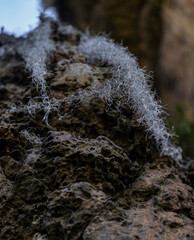 Beautiful landscape of the rocks of Suesca Colombia