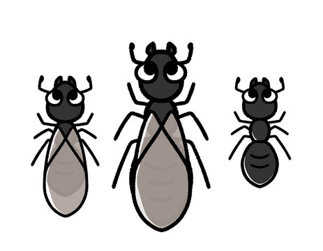 クロオオアリ の画像 135 件の Stock 写真 ベクターおよびビデオ Adobe Stock