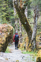 Fototapeta premium hiking in the mountains