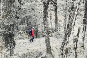 girl hiking in the woods