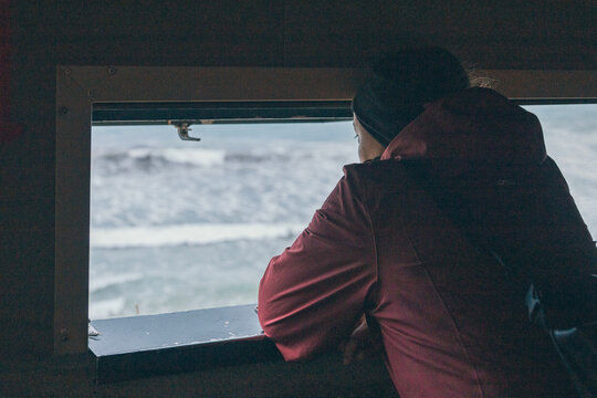 silhouette of a person watching the wildlife - Powered by Adobe