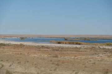 The territory of the Aral Sea. The southern part with a controlled volume of water and vegetation.
