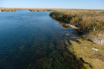 The territory of the Aral Sea. The southern part with a controlled volume of water and vegetation.