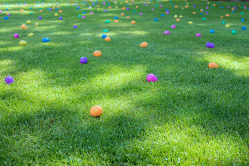 Easter eggs laid around for children