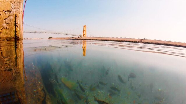 Fishes under the water of the sudama setu bridge. Camera moves from above the water to underwater. Slow motion shot of bridge over river and underwater fish.
