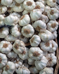 Closeup of fresh Garlic Bulbs on a market stall