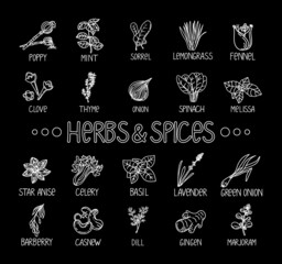 Herbs and spices icons, drawn element in doodle style. Template package design on a black background. Logo or emblem - herbs and spices - poppy, cashew, vanilla, anise, etc. Logo in fashion line