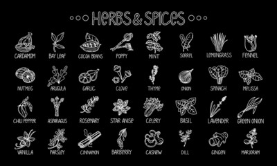Herbs and spices icons, drawn element in doodle style. Template package design on a black background. Logo or emblem - herbs and spices - poppy, cashew, vanilla, anise, etc. Logo in fashion line