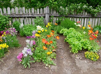 Panoramic view of typical Austrian cottage garden.