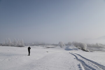 woman walking among frozen trees on snow-covered plain.kars