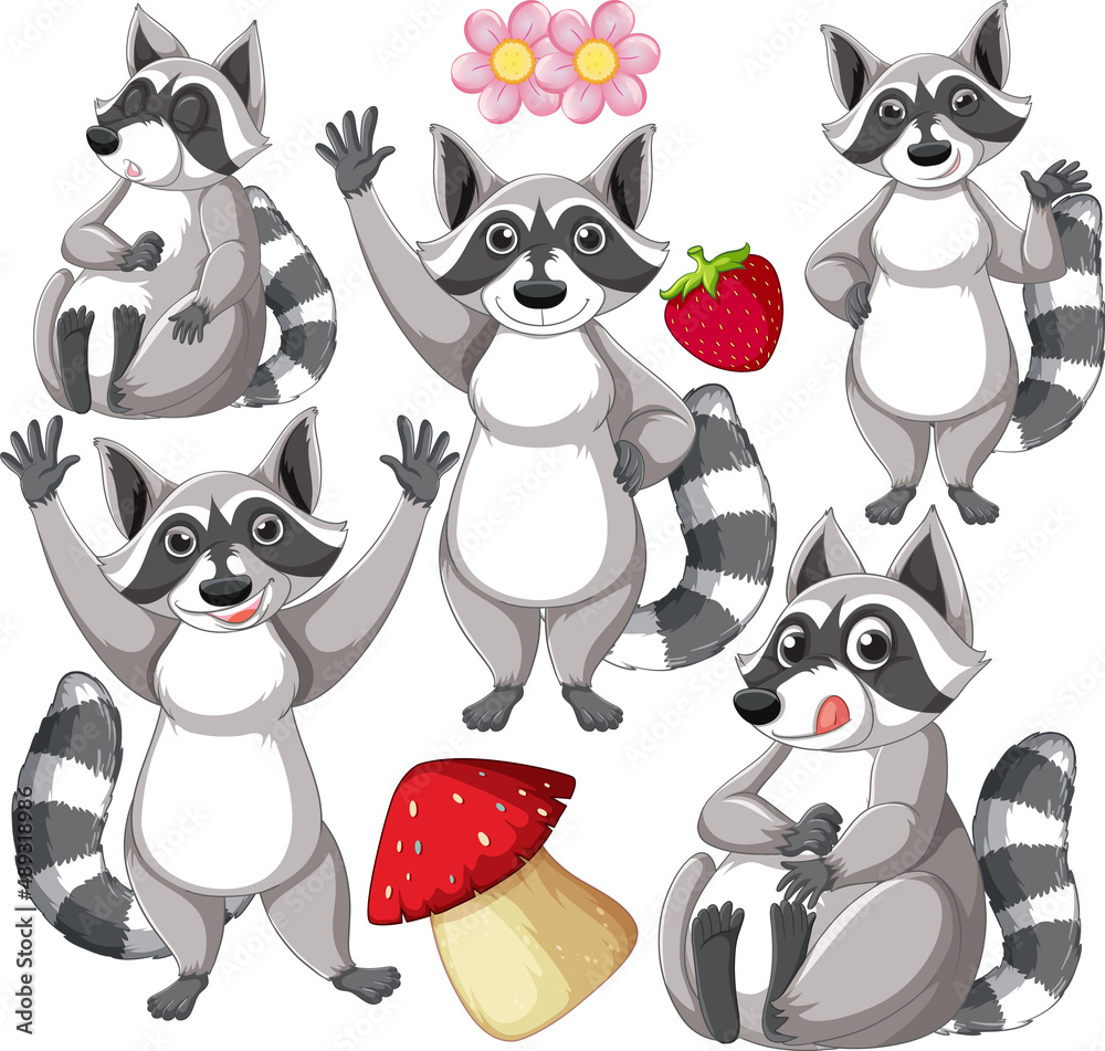 Wall mural funny raccoon on white background element