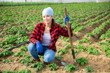 Portrait of attractive girl vegetable grower working in family vegetable farm on sunny spring day
