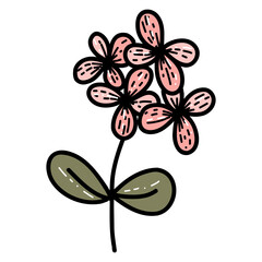 Floral spring wildflower isolated flat vector illustration.