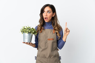 Gardener girl holding a plant isolated on white background thinking an idea pointing the finger up