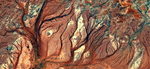 Fototapeta na wymiar Forest in autumn, abstract photography of the deserts of Africa from the air. aerial view of desert landscapes, Genre: Abstract Naturalism, from the abstract to the figurative