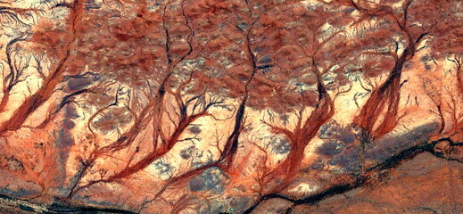 	
Forest in autumn, abstract photography of the deserts of Africa from the air. aerial view of desert landscapes, Genre: Abstract Naturalism, from the abstract to the figurative