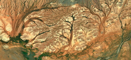 	
Forest in autumn, abstract photography of the deserts of Africa from the air. aerial view of desert landscapes, Genre: Abstract Naturalism, from the abstract to the figurative