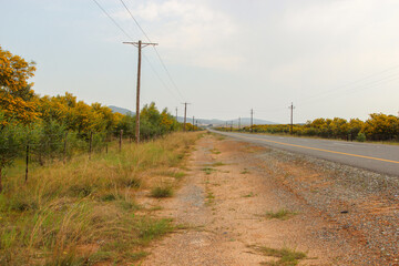 Road ditch with Powerline between Malmesbury and Darling in the Western Cape of South Africa