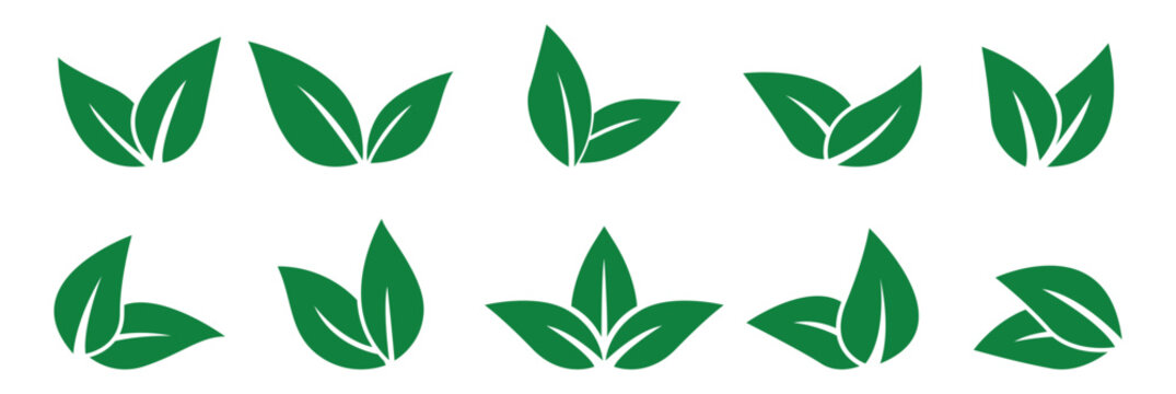 green leaves , logo, icon set vector illustration 