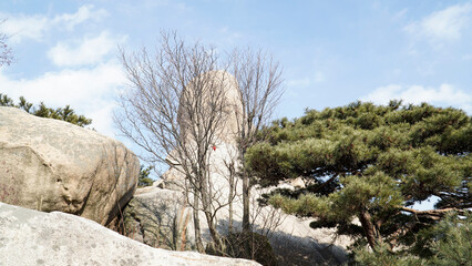 Samobawi Rock, Pine Tree, Sky, Cloud in Bukhansan Mountain.Scenery