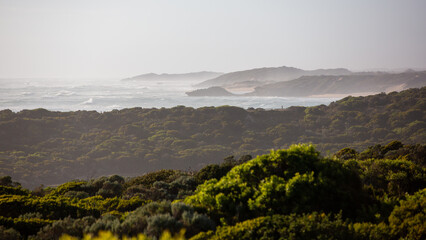 The coastline along the beachport conservation park in south australia on february 18th 2022