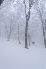 山スキー　妙高　滝沢尾根