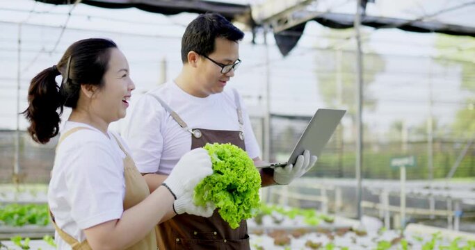 Close up, side view of happy young couple working in greenhouse with laptop computer, They are talk and laugh together, organic fresh harvested vegetable concept.
