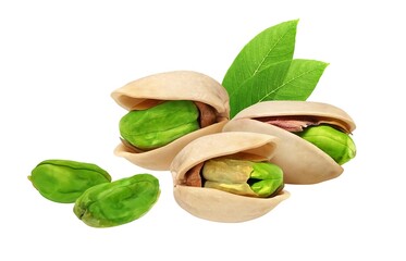 ピスタチオ イラスト リアル セット