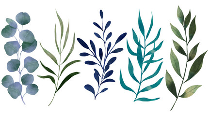 Drawing watercolor hand painted set foliage branch leaves stock illustration