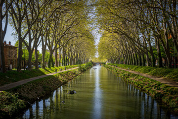 Canal du midi Toulouse France