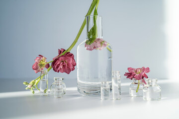 Beautiful abstract background with flowers and vases.