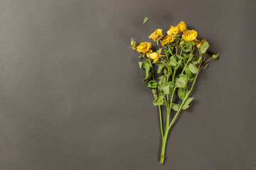 Bouquet of yellow flowers against a black background. Fading roses and crumbling petals. View from above. Copy space