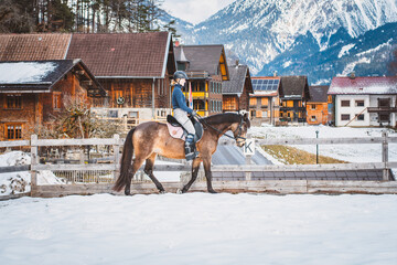 Fototapeta na wymiar Reiterin mit Pferd/Pony