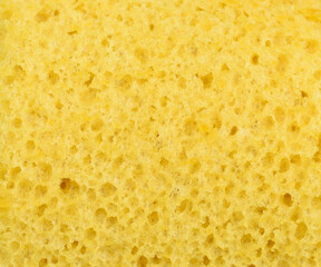 Bread slice, may use as background