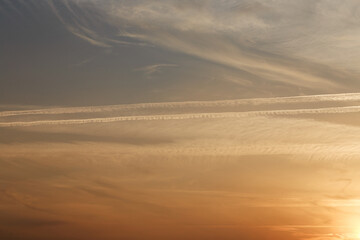 Sunset sky, clouds illuminated by the sun. Contrails and feather clouds. 