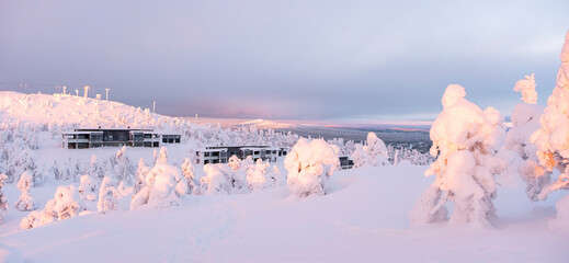 Snowy slope with trees in the snow. Sunrise in Northern Lapland