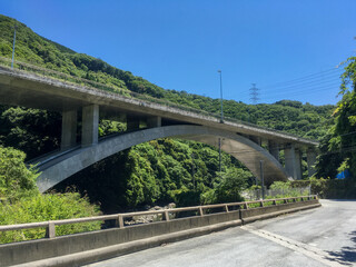 山奥の橋