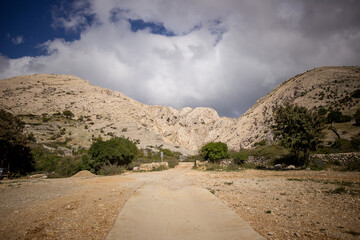 road in the desert