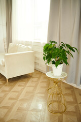 Beige sofa in the living room with potted flowers on a stand.