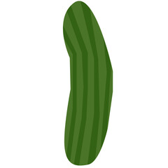 Cucumber vector illustration in flat color design