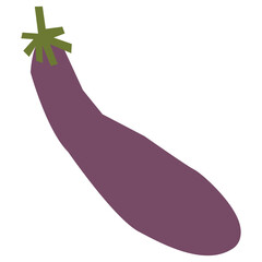 Eggplant vector illustration in flat color design