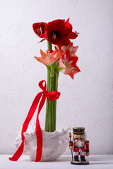 Red amaryllis in shell vase on white background