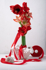 Red amaryllis in shell vase on white background
