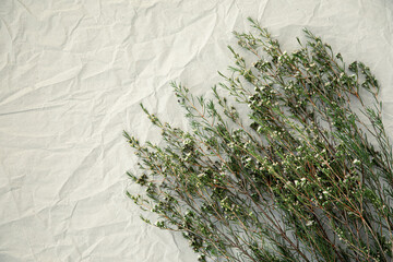 Flower arrangment on crumpled paper.