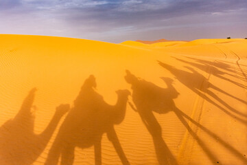 Fototapeta na wymiar Shadows of camels in the Sahara desert, Morocco