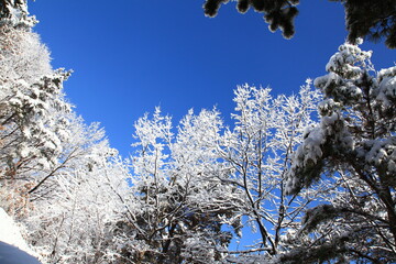 snowy mountain