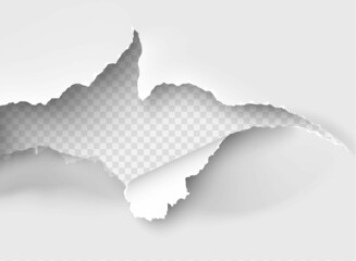 ragged Hole torn in ripped paper on transparent background